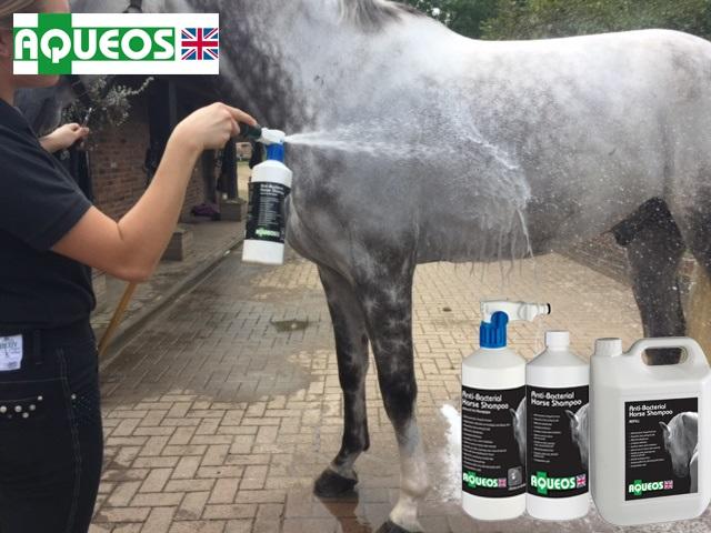 aqueos horse wash shampoo