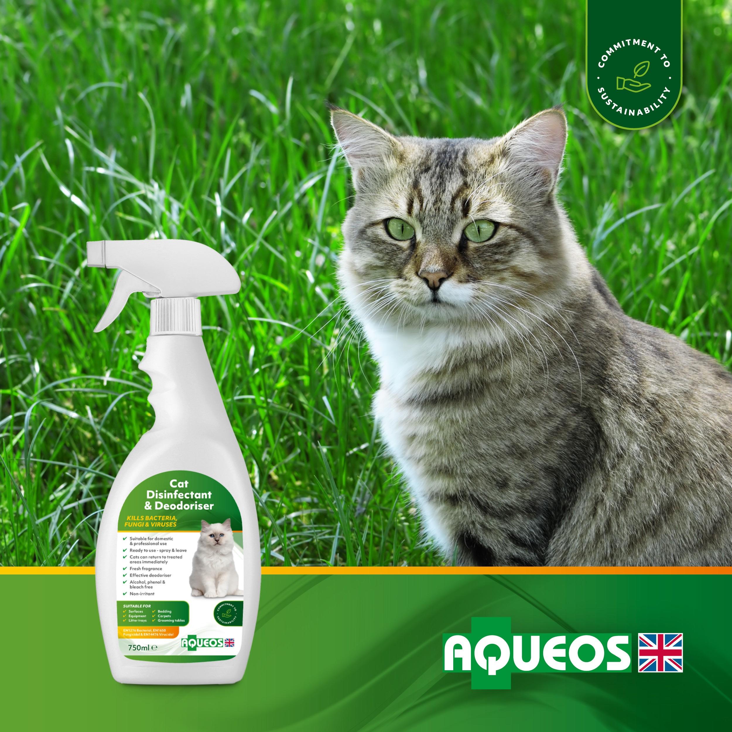 Cat cleaning products best sale