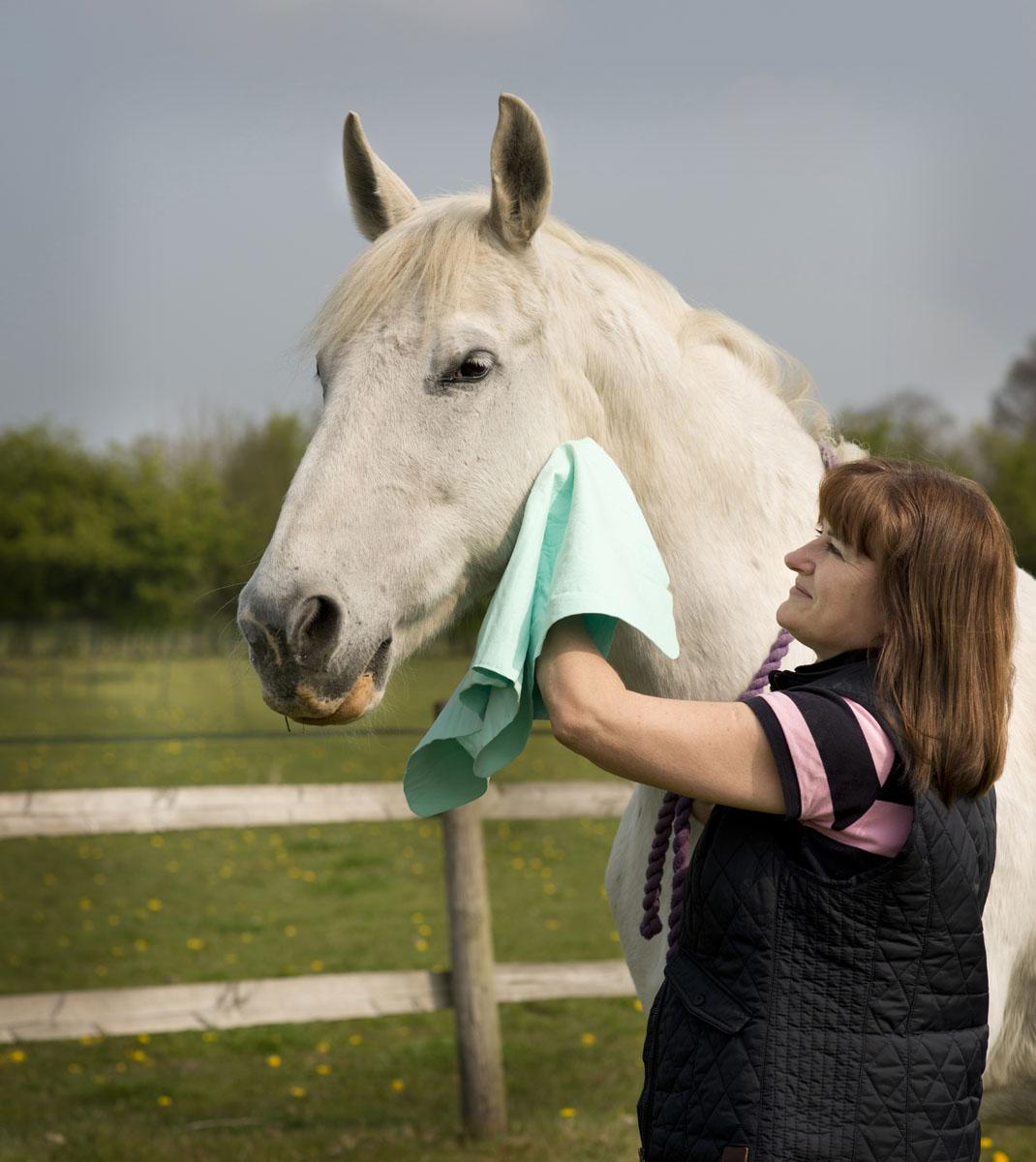 Horse Towel Horse Drying Shammy Horse Bath Towel