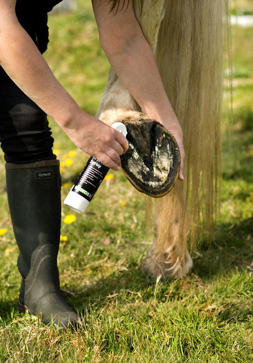 Aqueos First Aid Spray for Horses