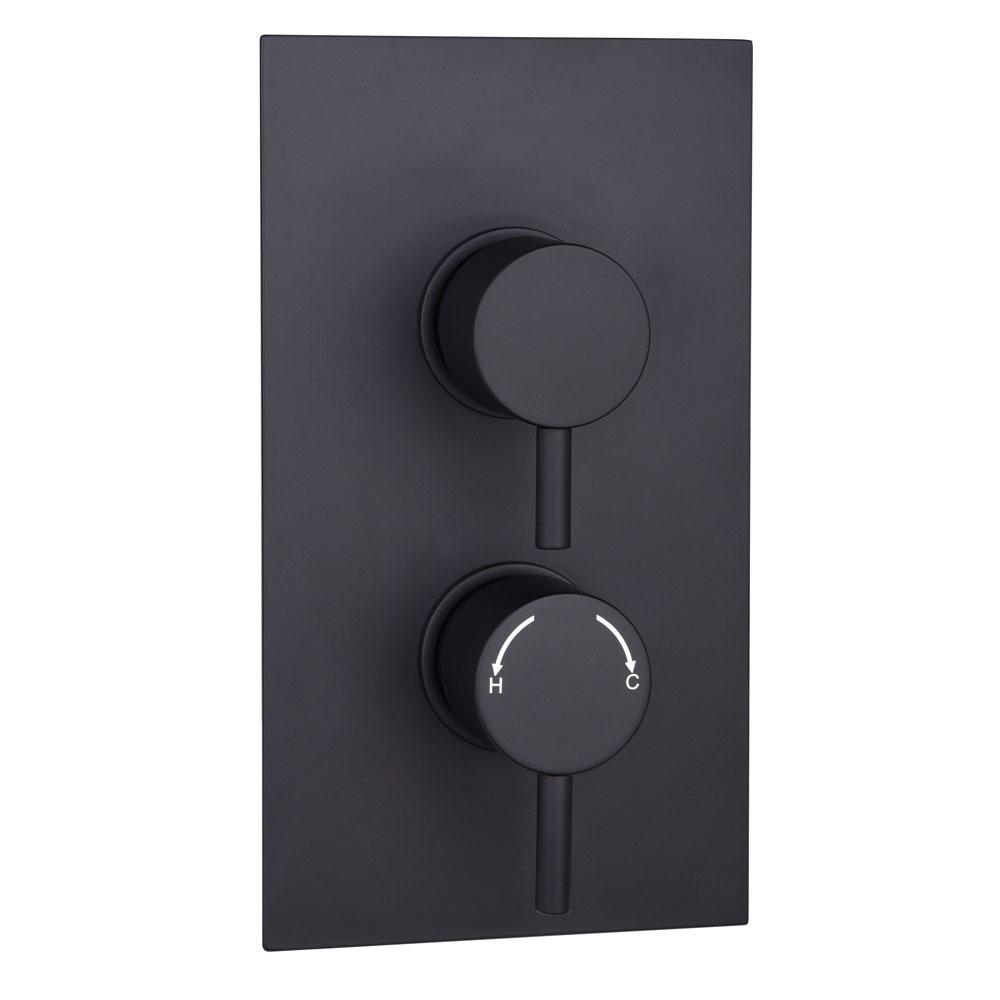 An image of Trinity Orca Black Round Dual Outlet Thermostatic Shower Valve