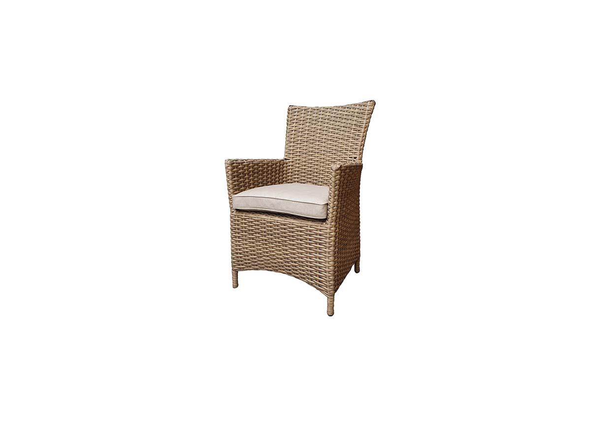 An image of Signature Weave Darcey Pair Of Dining Chairs Garden Furniture