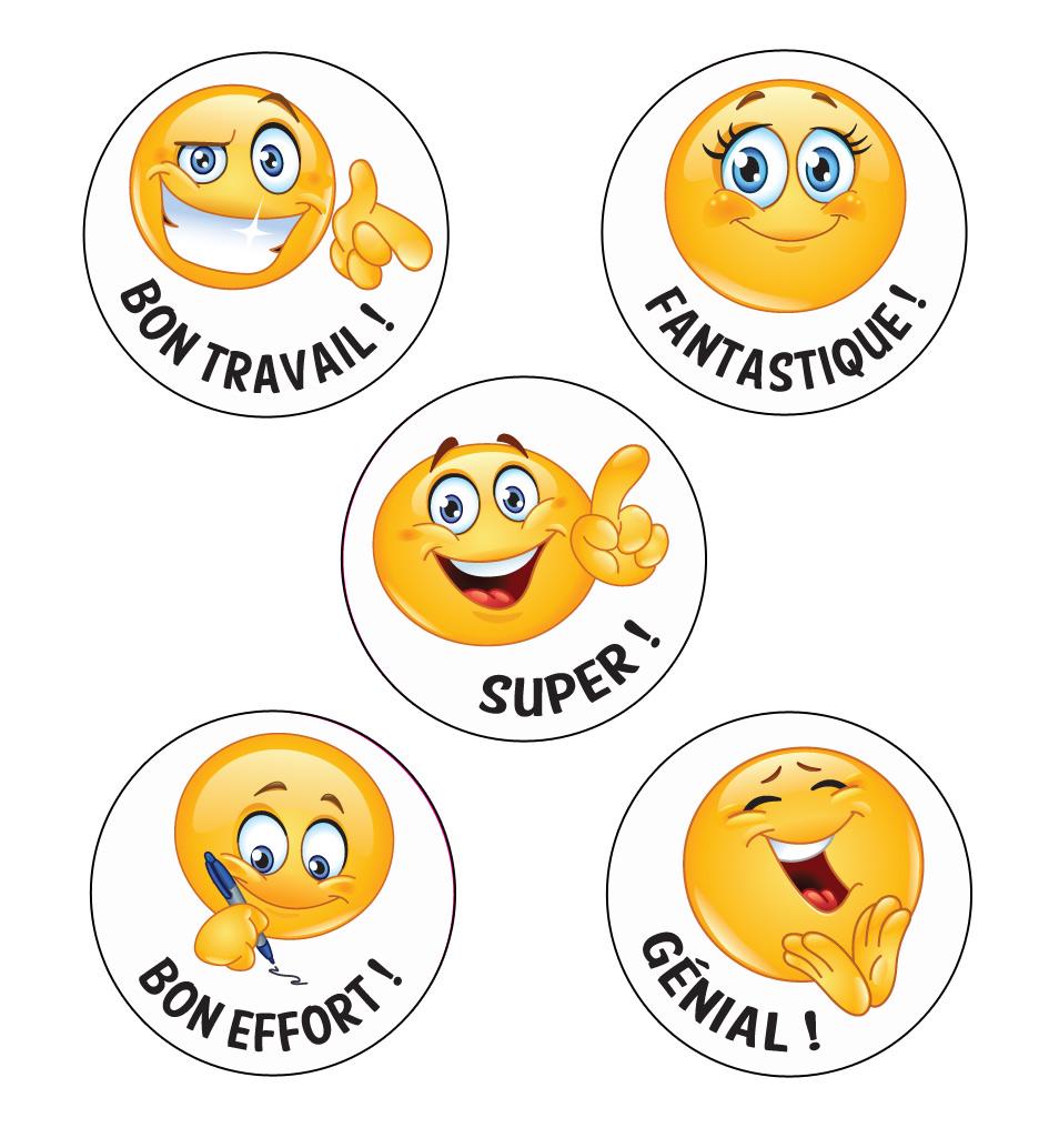 Autocollants Memes Pour Enseignants - 174 Autocollants / 58 Motifs - Idéal Pour Annoter Copies, Cahiers, Cadeau Prof - Version Française
