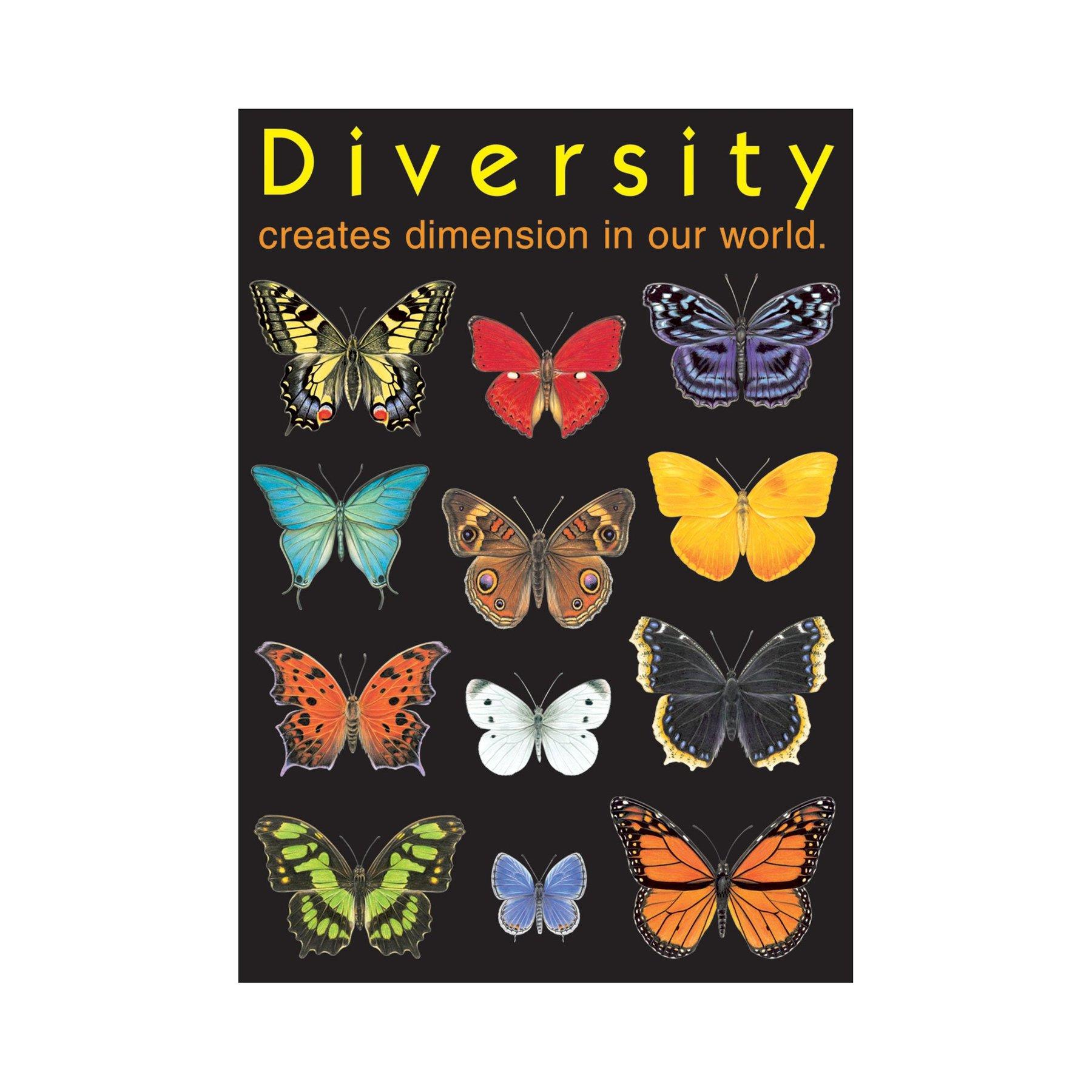 Posters Ecoles | Diversity Creates Dimension... Affiche de l'Ecole de Langue Anglaise