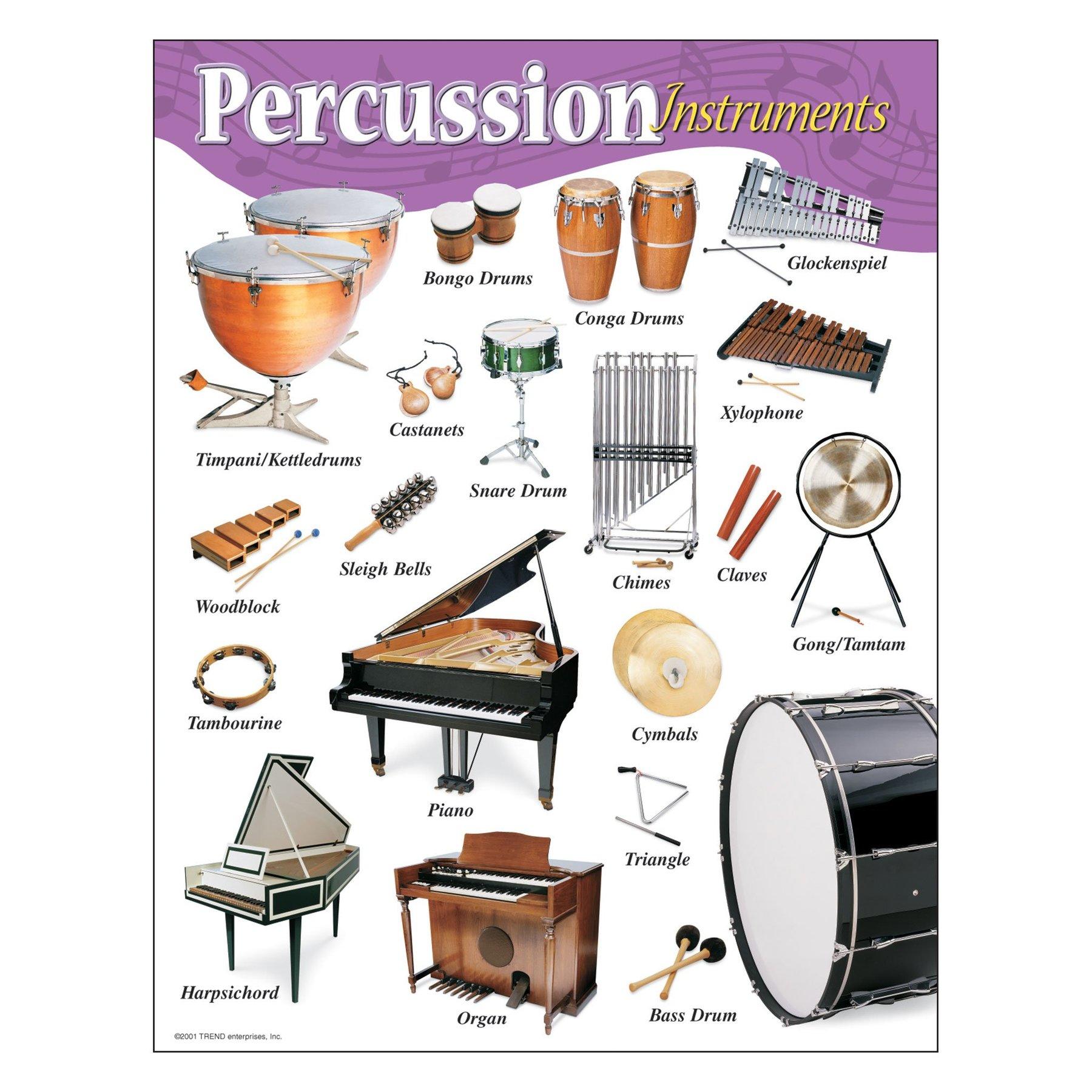 Posters Musique | Percussion Instruments Affiche Musique de l'Ecole de Langue Anglaise