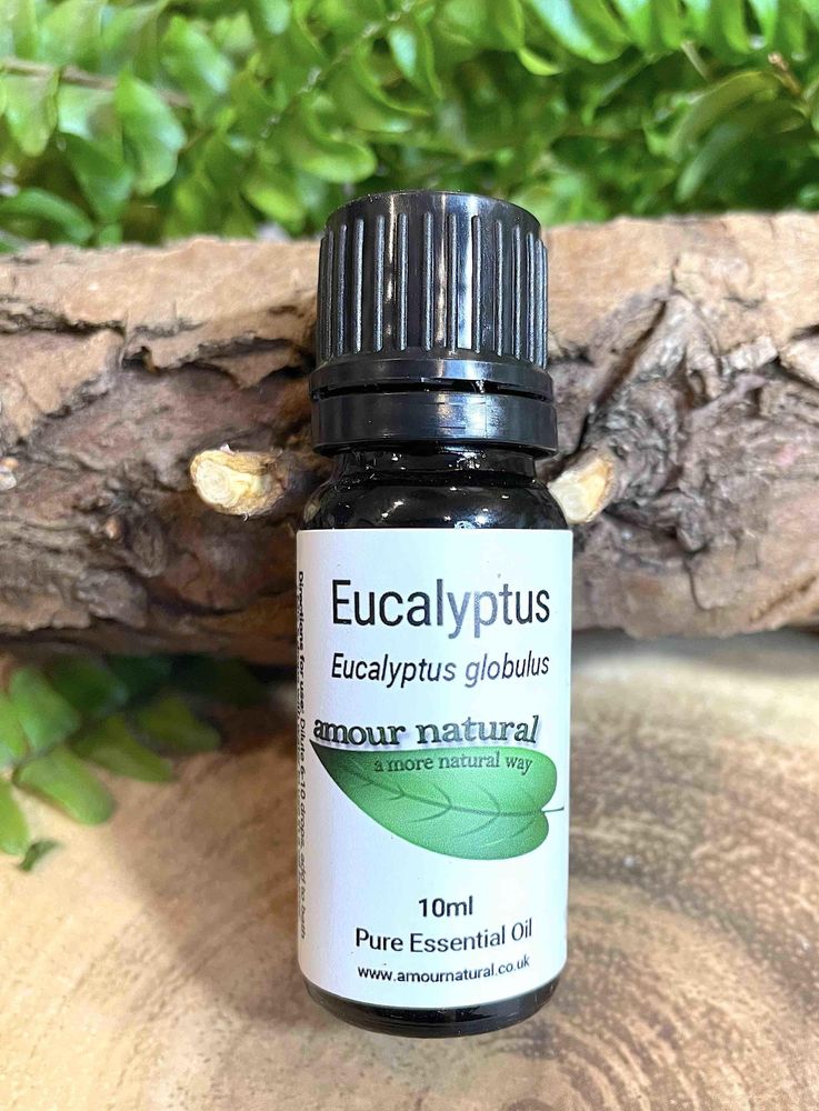 Eucalyptus 10ml Essential Oil