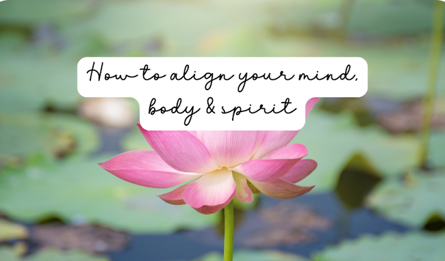 Align Mind, Body & Spirit for Authentic Goals | The Holistic Hamper