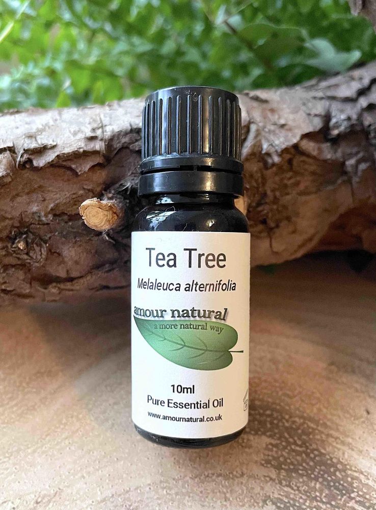 Tea Tree 10ml Essential Oil