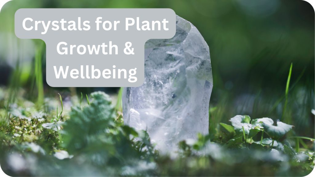 Crystals for Plants, Enhancing Plant Growth & Wellbeing Gardeners