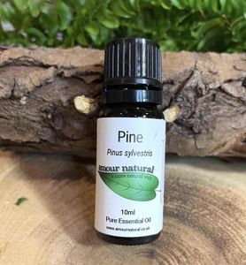 Pine Essential Oil 10ml, The Holistic Hamper, online crystal shop UK