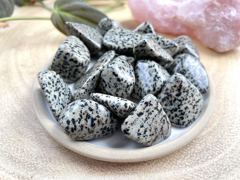Introduction to Dalmatian Jasper Meaning, Properties and Uses The
