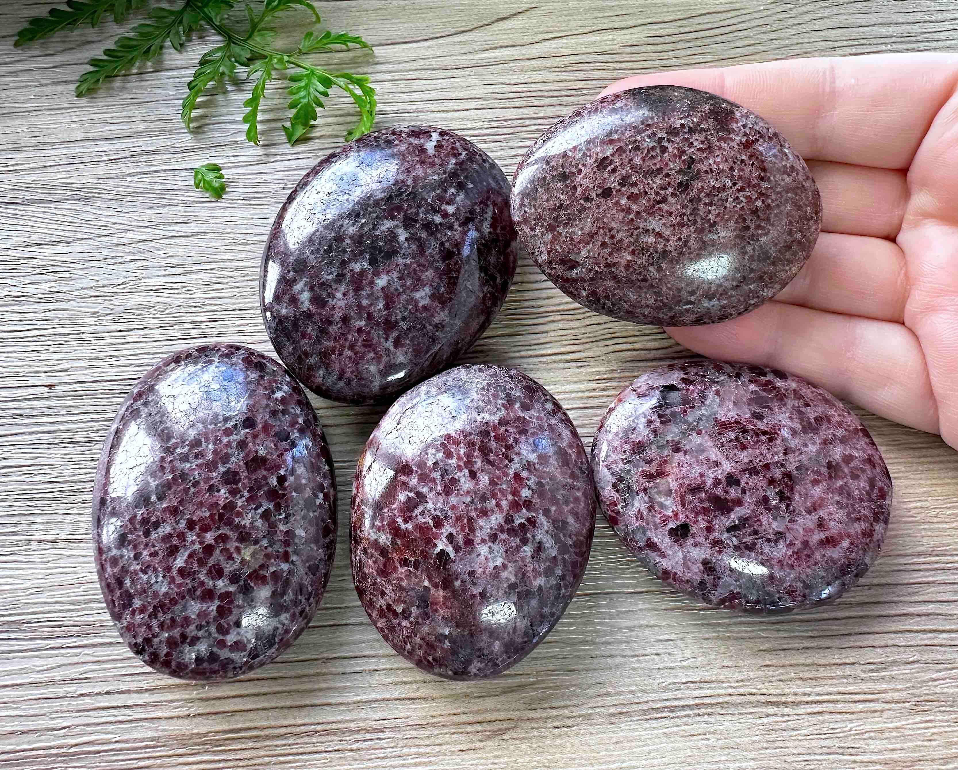 Garnet Palm Stone - Grounding Vitality Crystals