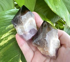 root of transformation crystal point with amethyst Smokey Quartz and white quartz