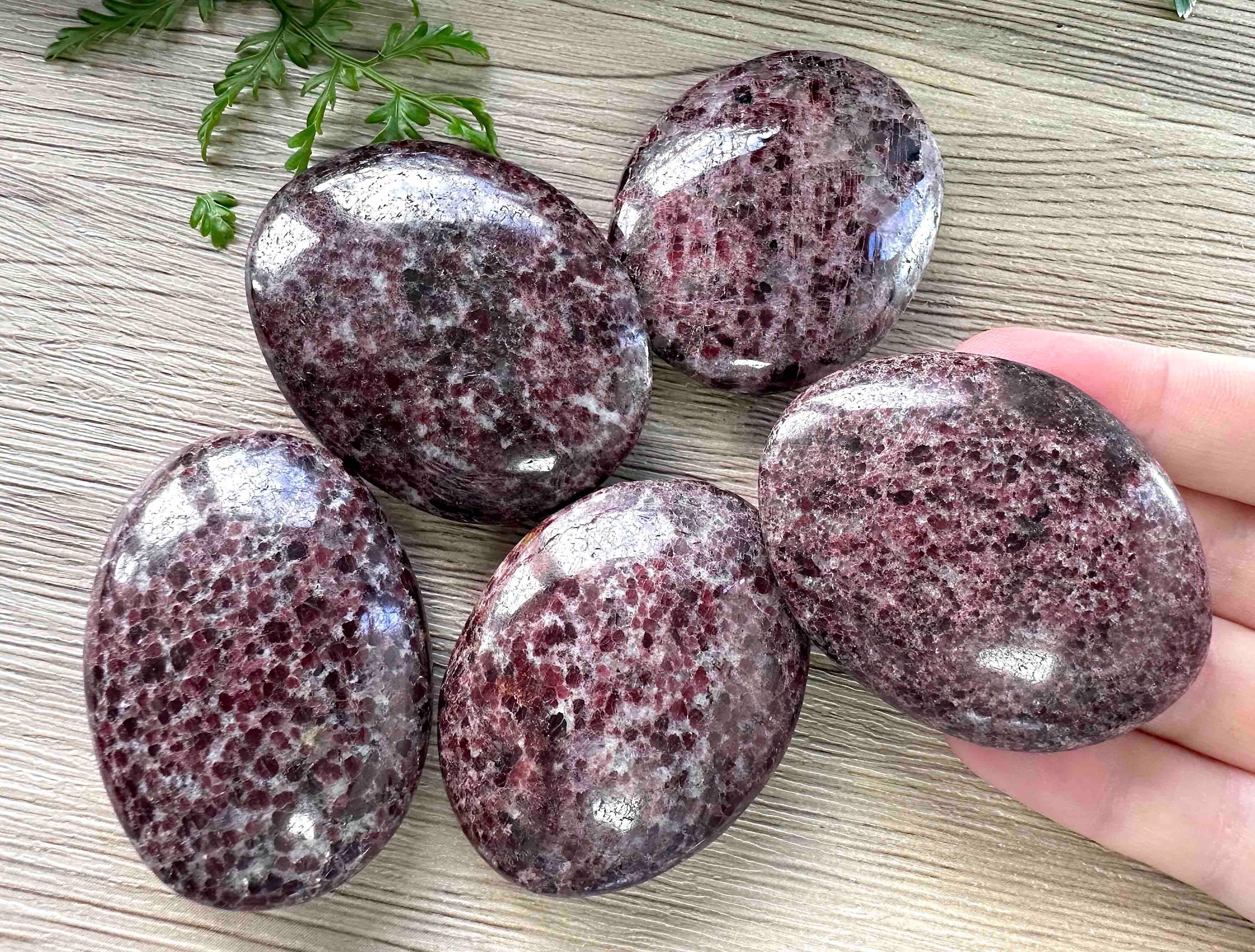 Garnet Palm Stone - Grounding Vitality Crystals