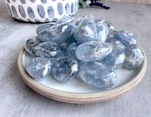 Celestite tumble stones blue on a dish 1.5-2.5 cm