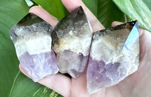 root of transformation crystal point with amethyst Smokey Quartz and white quartz