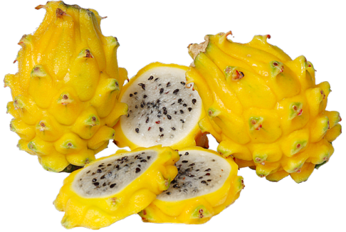 Yellow Dragon Fruit