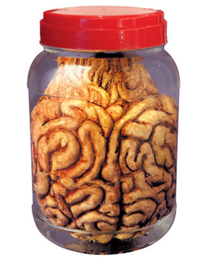 Laboratory Jar with Brain 19cm by Widmann 81692 available in the UK here at Karnival Costumes online party shop