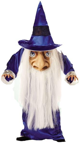 Wizard Mad Hatter Humorous Fancy Dress Costume