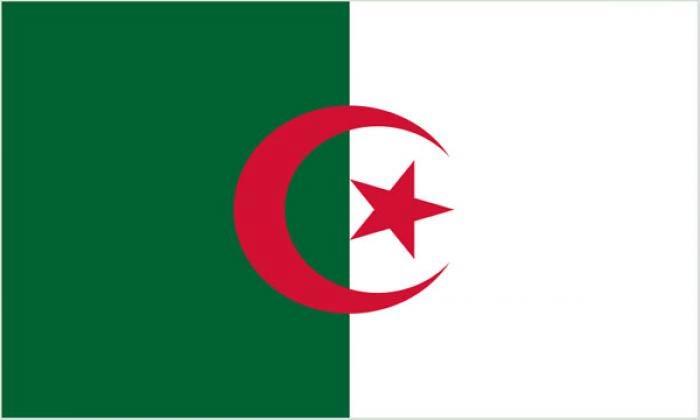 Algeria National Flag in Polyester. One of the 32 national teams in the 2014 FIFA World Cup Finals.