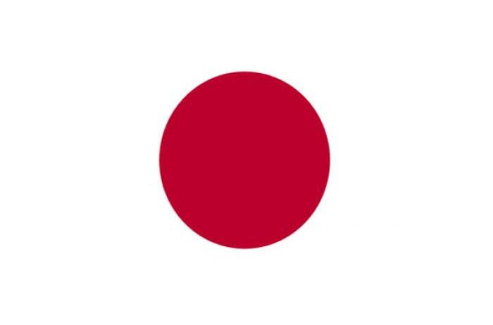 Japanese National Flag in Polyester. One of the 32 national teams in the 2014 FIFA World Cup Finals.