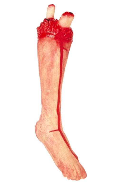 Human Size Severed Lower Leg