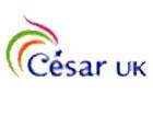 Cesar fancy dress costumes available here at Karnival Costumes online party shop