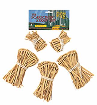 Straw Kit Wizard of Oz Strawman by Rubies 526 available here at Karnival Costumes online party shop