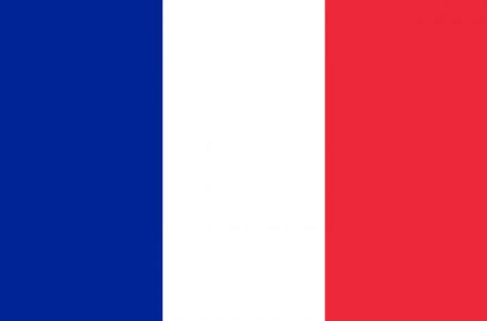French National Flag in Polyester. One of the 32 national teams in the 2014 FIFA World Cup Finals.
