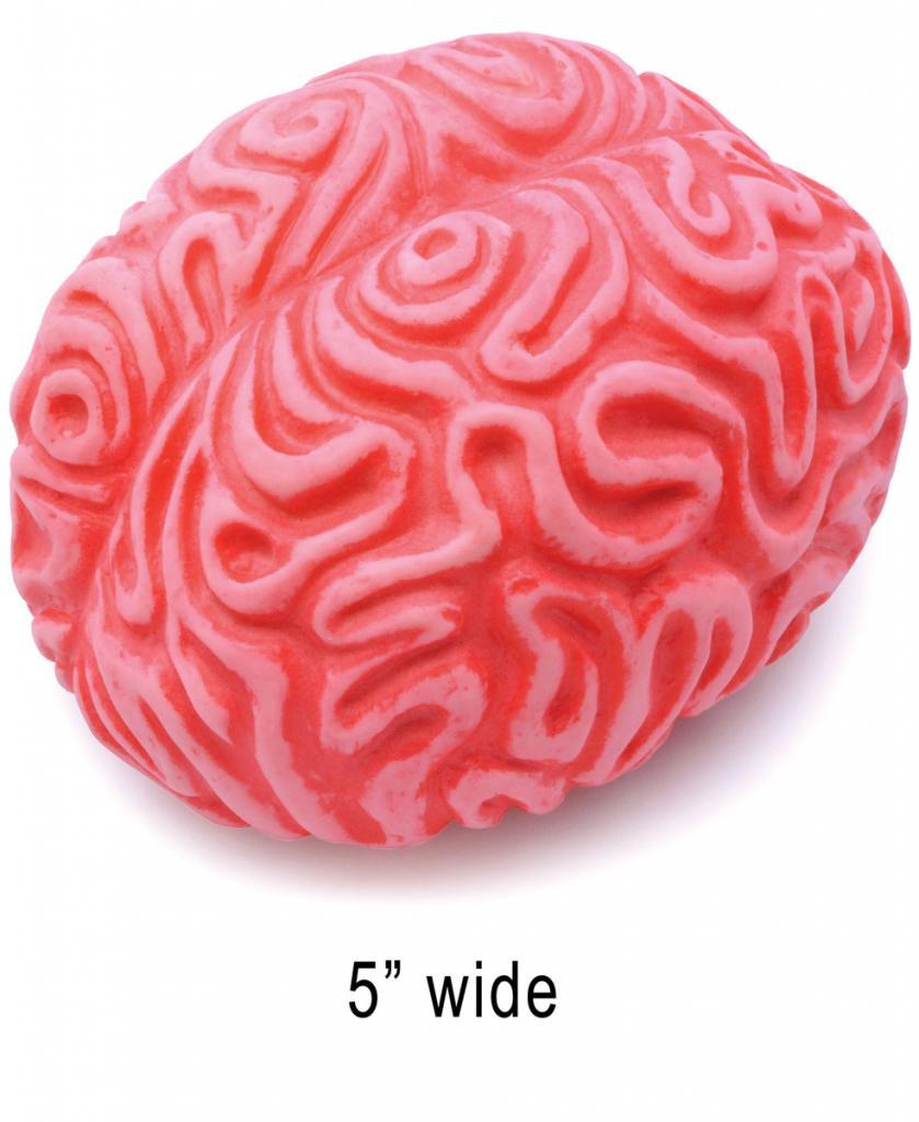 Human Size Rubber Brain by Bristol Novelties GJ442 and available from Karnival Costumes