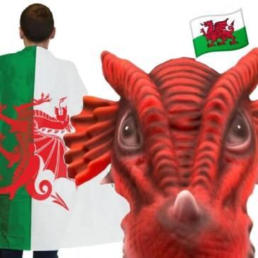 Welsh and St David's Day themed costume accessories. Great selection available here at Karnival Costumes online party shop