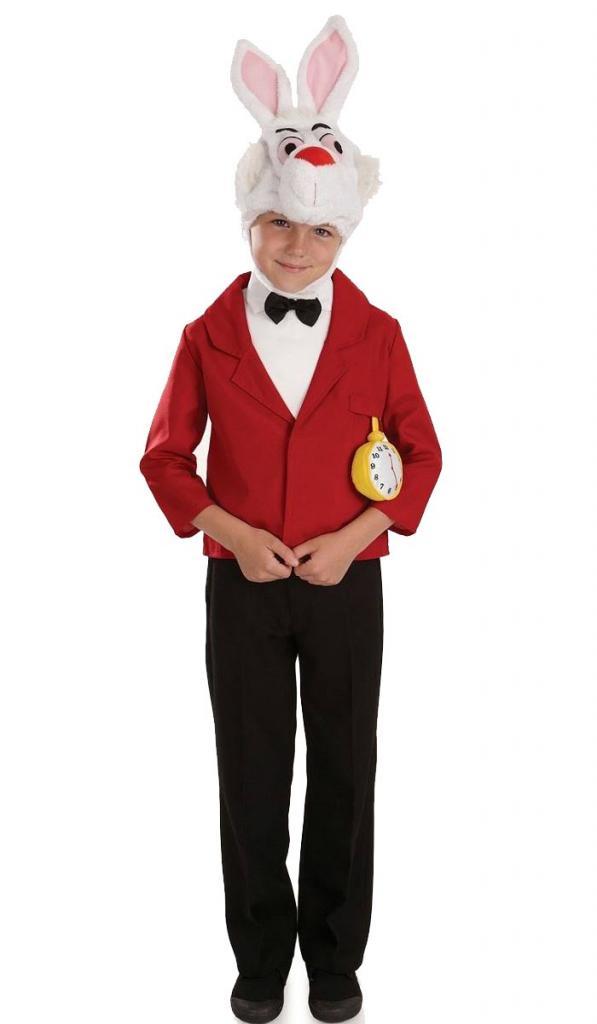 Childrens Mister Rabbit Costume for Bookweek and party wear