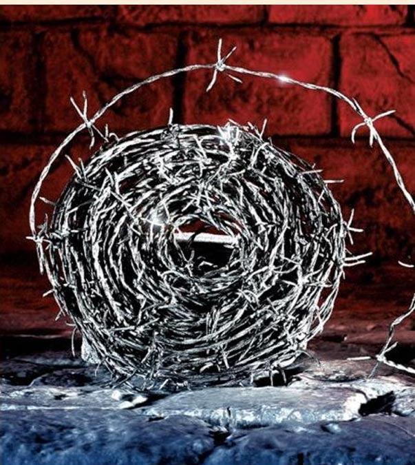 Barbed Wire - Realistic 30m (98ft)