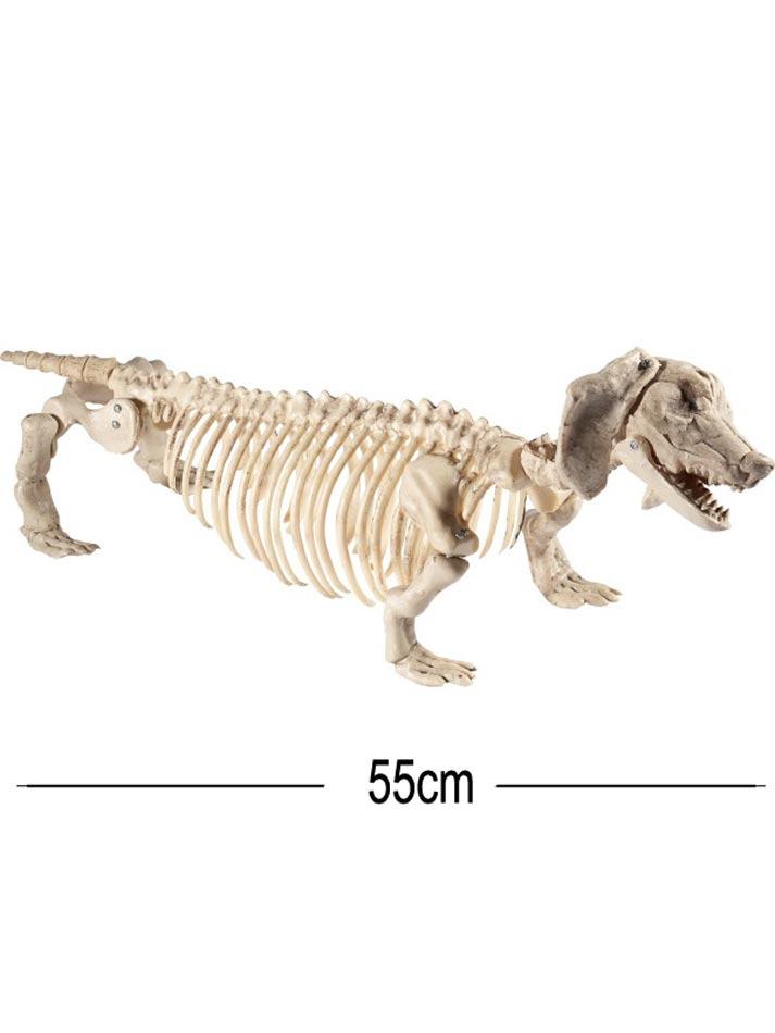 Dachshund Dog Skeleton Prop Halloween Decoration by Smiffy 46909 available here at Karnival Costumes online Halloween party shop
