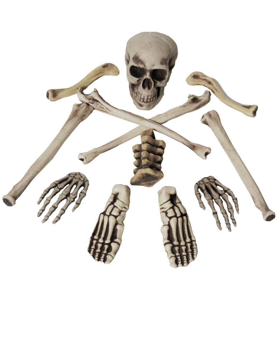 Bone Bag Skeleton Halloween Props and Decorations by Henbrandt V14272 available from a selection here at Karnival Costumes online Halloween party shop