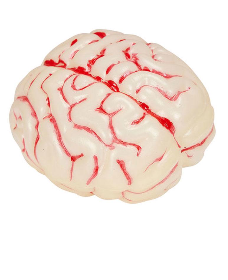 Colour Changing Light-Up Brain by Widmann 81555 available from Karnival Costumjes Online Halloween Shop