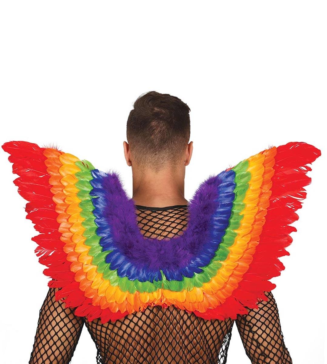 Multi-Coloured Rainbow Feather Wings or Pride Wings by Guirca 17300 available here at Karnival Costumes online party shop