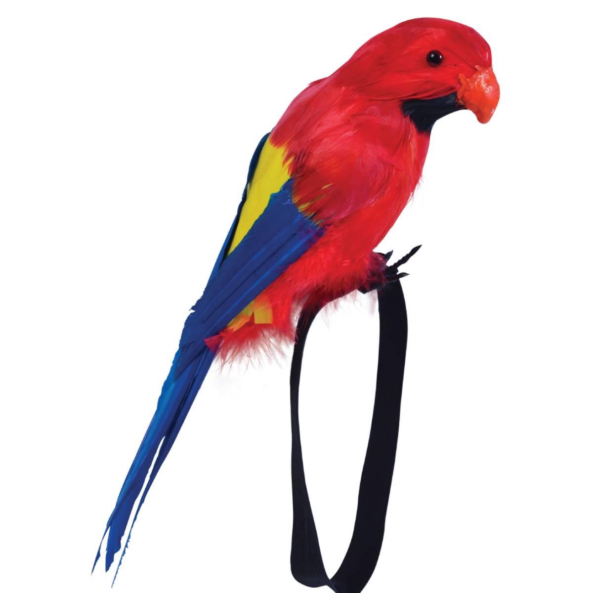 30cm Feathered Parrot for the Wrist by Bristol Novelties BA351 available here at Karnival Costumes online party shop