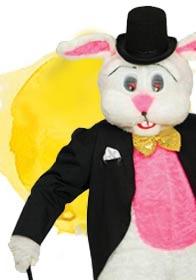 Super deluxe mascot Easter Rabbot costume by Stamco available here at Karnival Costumes online party shop