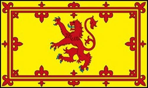 Scottish Flag Bunting - 10 flags