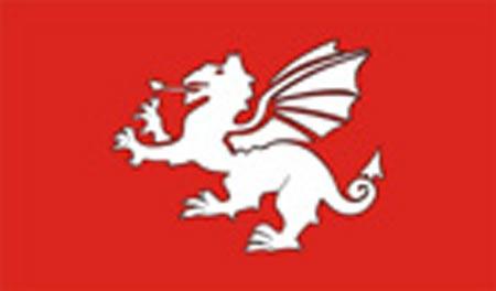 English Dragon Flag - 5' x 3'