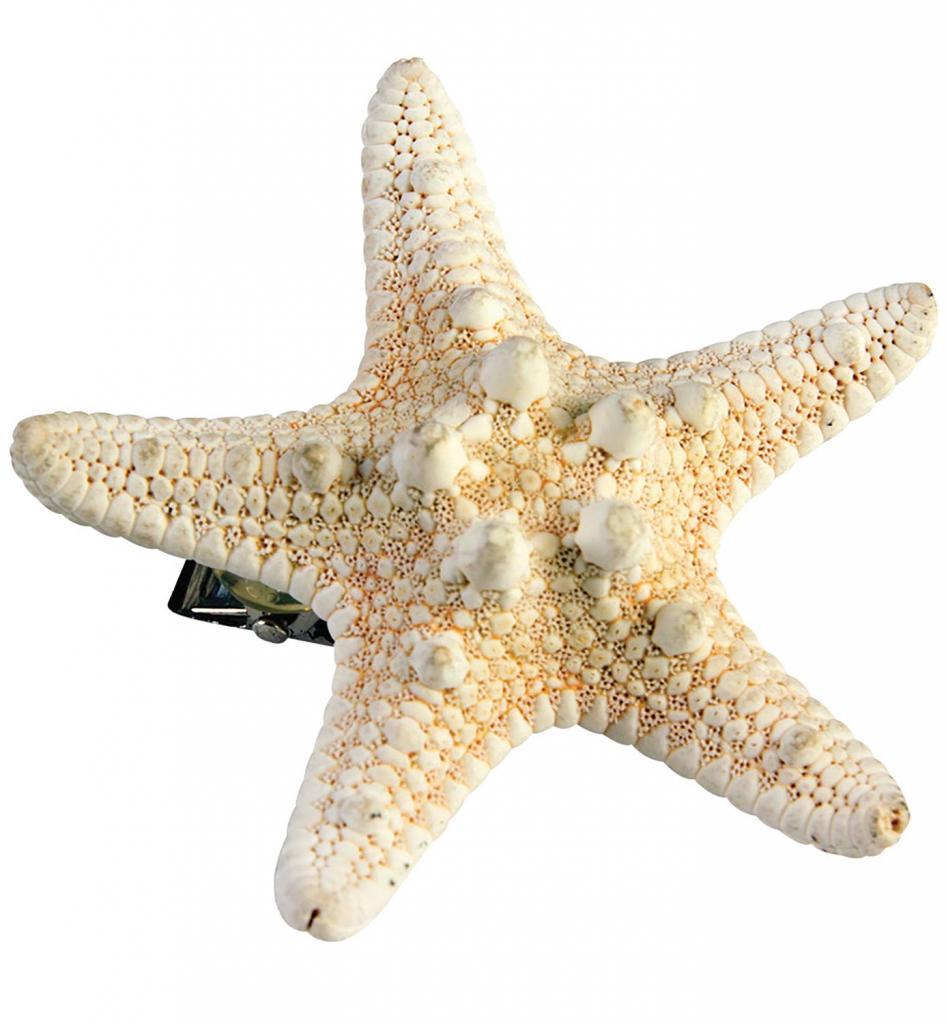 Mermaid Starfish Hairclip by Forum Novelties 75002 available in the UK from Karnival Costumes