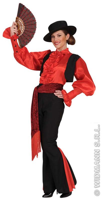 Spanish Flamenco Dancer Fancy Dress Costume