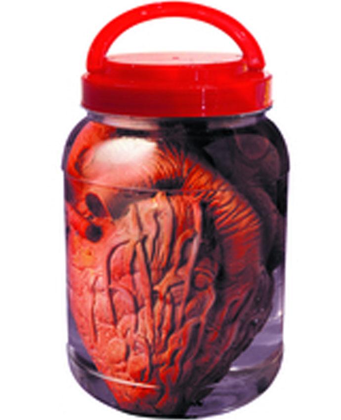 Laboratory Jar with Human Heart 19cm by Widmann 8169R available in the UK here at Karnival Costumes online party shop