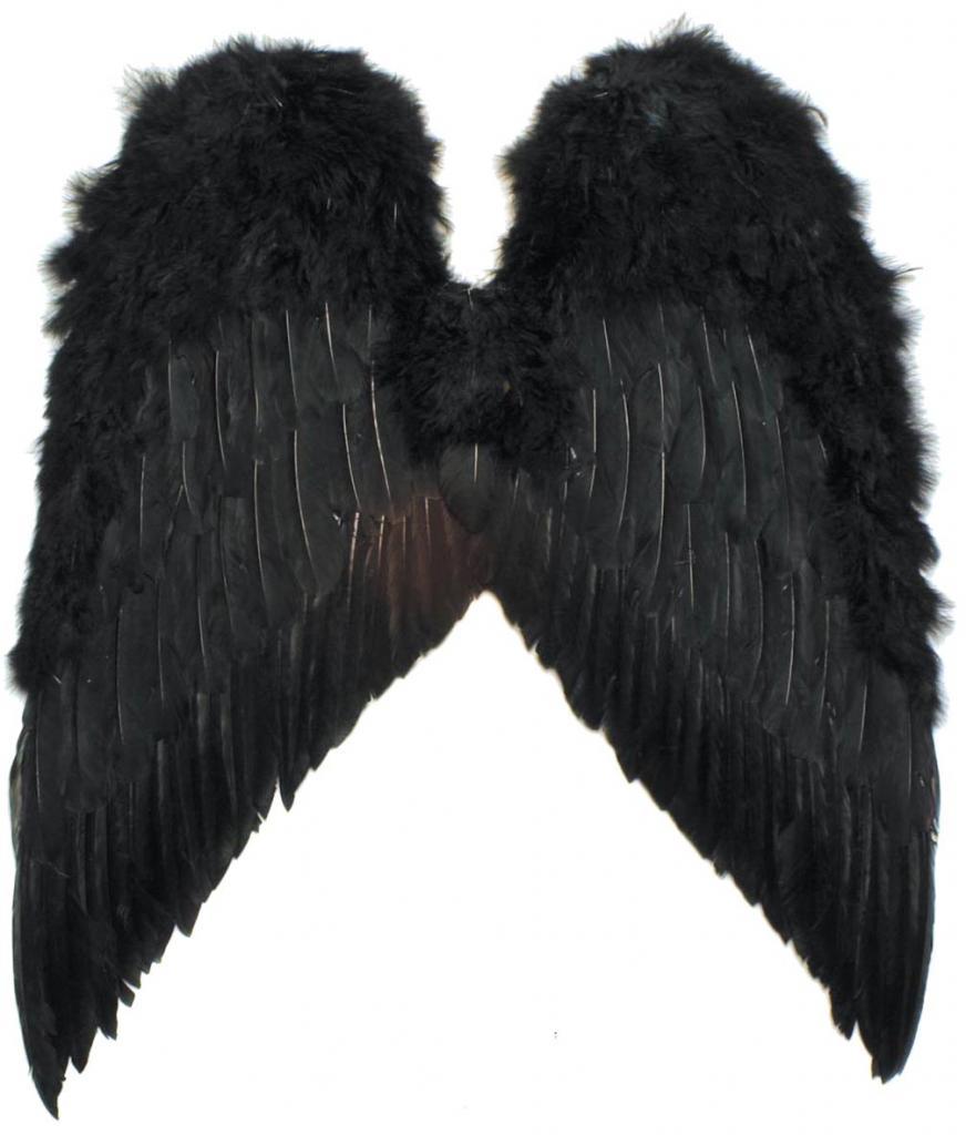Light Up Black Feather Wings - 55cm