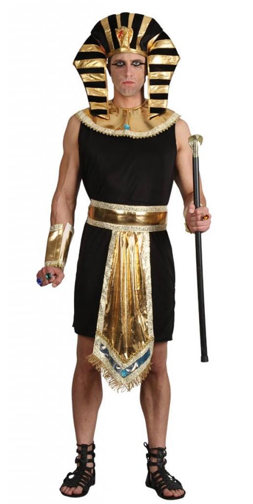 Egyptian King Pharaoh Adult Fancy Dress Costume