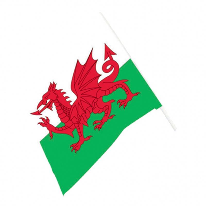 Welsh Waving Flag measuring 60cm x 90cm stick mounted by Amscan 994953 available here at Karnival Costumes online party shop