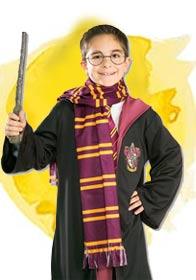 Host the ultimate Harry Potter themed party with tips from this blog by Karnival Costumes online party shop