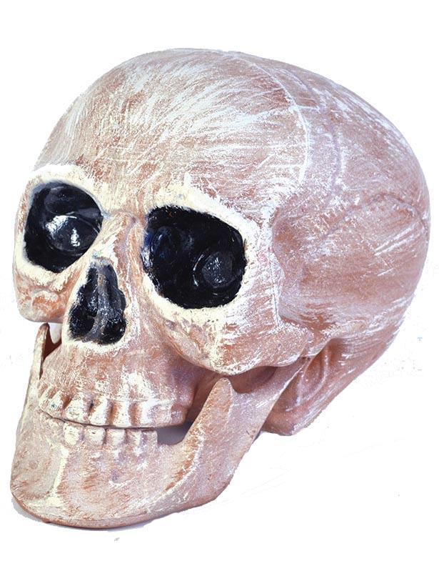 Skull with Movable Jaw - 14cm Halloween Skulls