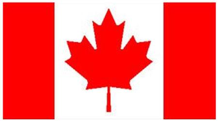 Canadian National Flag measuring 5ft x 3ft from Karnival Costumes